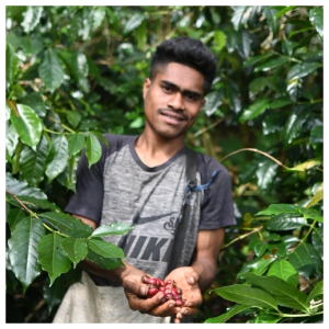 SLOW FOOD SPECIALTY COFFEE BAJAWA FOREST FULLY WASHED