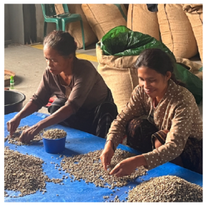 SLOW FOOD SPECIALTY COFFEE BAJAWA FOREST WET HULLED